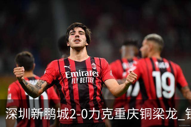 深圳新鹏城2-0力克重庆铜梁龙 铁血精神共筑主场胜利